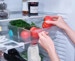 Best Bac Compartimenté Pour Réfrigérateur Extra Grand FridgeStore™ Rangement Pour Réfrigérateur|Rangement & Conservation Alimentaire