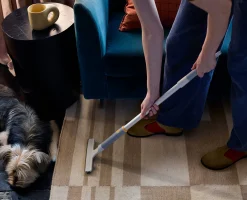 Online Kit d'Outils pour Enlever les Poils d'Animaux CleanTech™ Accessoires & Outils Pour Ménage Maison