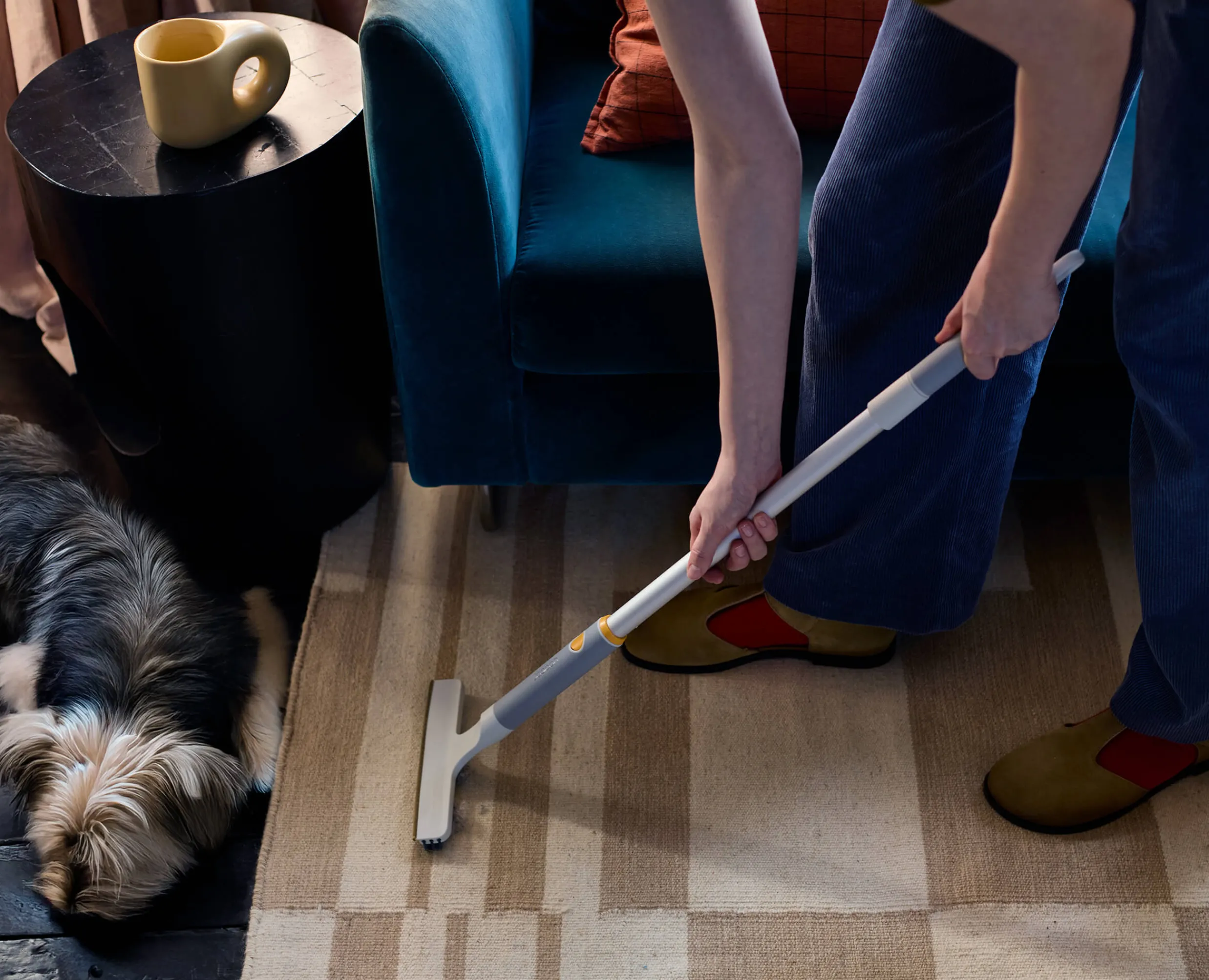 Online Kit d'Outils pour Enlever les Poils d'Animaux CleanTech™ Accessoires & Outils Pour Ménage Maison